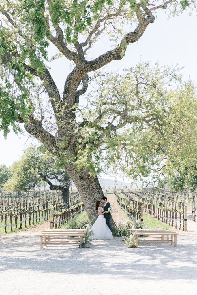 White wedding at the Oak tree at Sunstone Villa